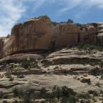 Natural Bridges National Monument /   